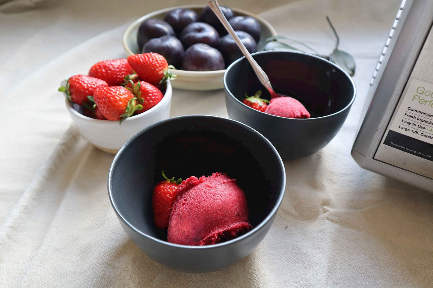 PLUM & BAYLEAF SORBET